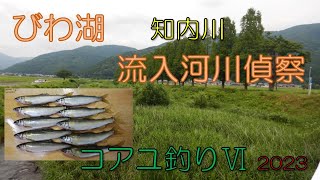 20230626 びわ湖流入河川コアユ偵察