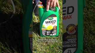 HOW TO CONTROL WEEDS IN YOUR LAWN 🌿 #frankieflowers #fallgarden