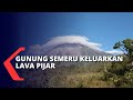 Gunung Semeru Luncurkan Lava Pijar