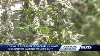 Louisville firefighters temporarily allowed to use medical cannabis while off-duty