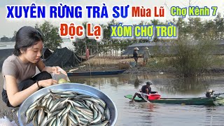XUYÊN RỪNG TRÀ SƯ MÙA LŨ - ĐỘC LẠ XÓM CHỢ TRỜI QUÁ NHIỀU ĐẶC SẢN RẮN CÁ Ở CHỢ KÊNH 7