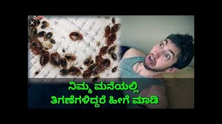 ತಿಗಣೆ ಕಾಟಕ್ಕೆ ಹೀಗೆ ಮಾಡಿ| Health tips in kannada | kill bed bugs | tigane kaata |