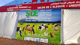 جوله رائعه في  المعريض الفلاح السنه الثانيه على التوالي في مدينة ازمور عماله الجديدة 🐏🐄🐎