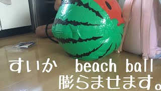 スイカビーチボールを膨らませて遊びます。【beach ball】