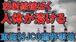 【放射線で人体が溶解】ずさんな管理で核反応…東海村JCO臨界事故【ゆっくり解説】