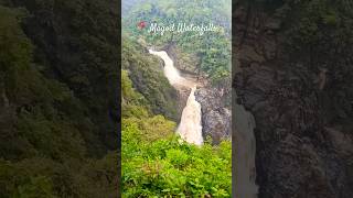 #Magod Waterfalls #yellapura #karnataka #divyaramyachannel