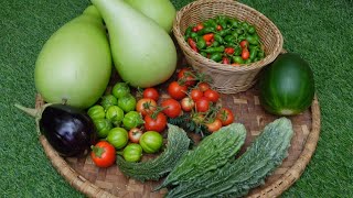 Harvesting Vegetables In UK (29 Aug 2022)