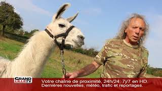 Rencontre avec un éleveur passionné par les lamas..