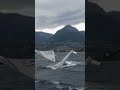 epic 30knts capzise in lake garda lasersailing sailing dinghy