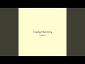 Tranquil Harmony