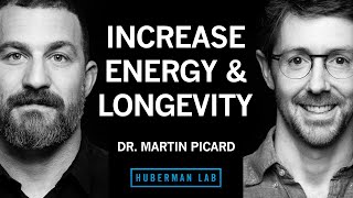 Improve Energy & Longevity by Optimizing Mitochondria | Dr. Martin Picard