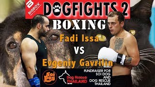 Fadi Issa v Evgeniy Gavrilin DOGFIGHTS 2 - 2017 BOXING