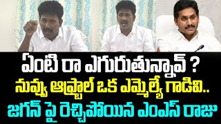 ఏంటి రా ఎగురుతున్నావ్ ? నువ్వు ఆఫ్ట్రాల్ ఒక ఎమ్మెల్యే గాడివి..జగన్ పై రెచ్చిపోయిన ఎంఎస్ రాజు