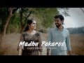 Madhu Pakaroo | Varshangalkku Sesham | Cover Song | K Krishna