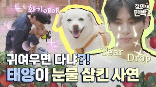 S2 Ep.2 민박 집에 입성한 셒9🐾자몽이 개인기 보라9ㅣSometime doggy... can be gloomy😅#SF9