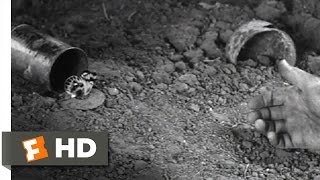 The Butterfly - All Quiet on the Western Front (10/10) Movie CLIP (1930) HD