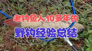 鲤鱼怎么钓？老钓鱼人的10多年野钓经验总结，手竿一样狂拉大鲤鱼