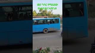 ኮማንዶዎች ወደ ግንባር እየገቡ ነው ህውሀት ላዴና ለመጨረሻ ጊዜ ይደመሰሳል..✊✊✊