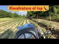 Rincalzatura patate di montagna 🥔 - landini 2-55 con assolcatore auto costruito