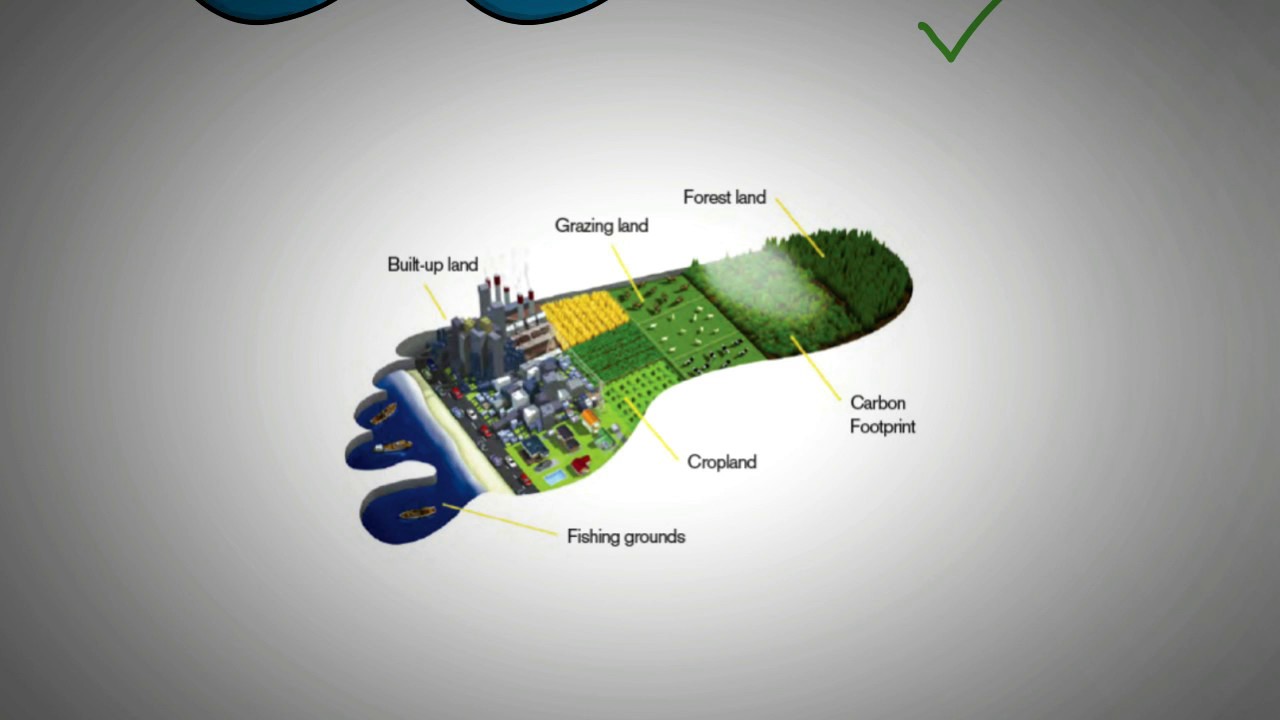 Carbon Footprint Explained Simply Tools