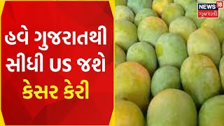 Mango Export: હવે Gujarat થી સીધી US જશે કેસર કેરી | Mangoes | Export | America | Gujarati News