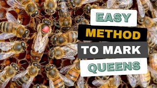 Easy Method To Mark A Queen