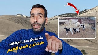 نصيحة من واحد حريف كسب النعجة: هاعلاش تربية الأغنام مشروع ناجح ومربح،؟🐏💰