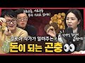 [댓꿀쇼] 이미 우리 삶에 밀접한 곤충들 | 곤충산업 A to Z: ‘먹는’ 곤충에 이어 사람 ‘치유’하는 곤충도 있다!?