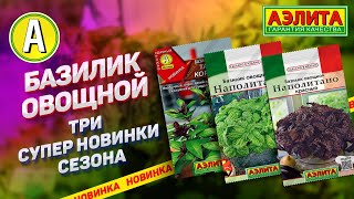 ТАКОЙ БАЗИЛИК вы еще не выращивали! Базилик овощной - три оригинальных новинки сезона!