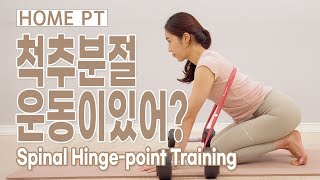 관절 트레이닝 l 척추분절 움직임 ( 굴곡/신전/회전 ) l 킨스트레치 l Spinal Hinge-point Training l  KINSTRETCH l FRC