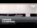 Guy in Quarantine Finds Snake in Dishwasher and Tries to Catch it By Himself