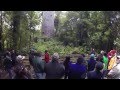 Worldwide Voyage | Tāne Mahuta