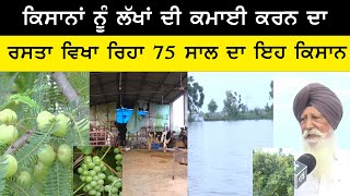 ਲੱਖਾਂ ਰੁਪਏ ਦੀ ਕਮਾਈ ਕਰਦਾ ਹੈ 5 ਏਕੜ ਵਿਚ ਮੱਛੀ ਪਾਲਣ ਦਾ ਕੰਮ ਕਰਨ ਵਾਲਾ ਇਹ ਕਿਸਾਨ ,ਕਿਸਾਨੀ ਦਾ ਵੇਖੋ Super Model