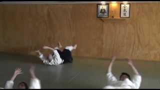 A smattering of Aikido ukemi strength-building exercises