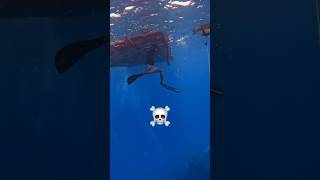 Freediver Accidentally Swims into Floating Platform #freediving #underwater #phuket #apnea