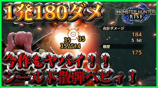 【モンハンライズ】ヘビィボウガンおすすめ最強装備！今作も化け物！シールド散弾ヘビィ！【MHRise】