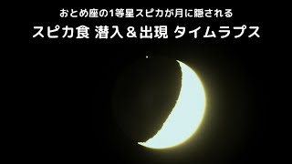 おとめ座の1等星スピカが月に隠される「スピカ食」潜入＆出現タイムラプス（2024.08.10）