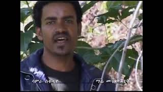 Reshad Kedir (ረሻድ ከድር) _ Adera (አደራ)