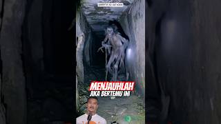 Viral‼️warga dibuat gempar dengan sosok ini #shorts #funny #faktaunik #viralvideo #kucinglucu