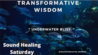 Underwater Bliss -Sound Healing-Sleep Sound