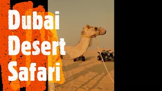 Dubai Desert Safari - Dubai Travel Vlog |ദുബായ് ഡെസേർട് സഫാരി | Dubai Desert Safari Vlog Malayalam