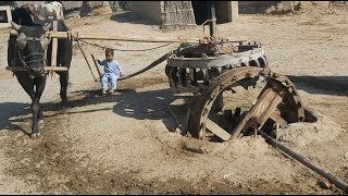 OLD PUNJAB RAHAT CULTURE Persian Wheel Irrigation Old Punjab Village Life