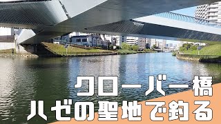 【東京ハゼ釣り】小名木川 クローバー橋 ハゼの聖地で釣り 2021年8月【延べ竿でハゼ釣りが楽しい】