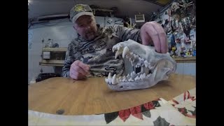 Hunting, Trapping \u0026 Awesome Wolf Skull Gift