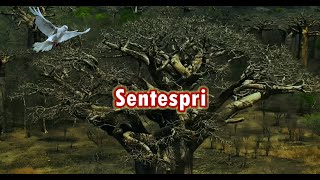 Sentespri videolyrics #dellybenson #lyrics