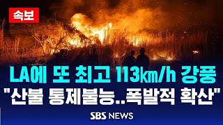 [속보] LA에 또 최고 113㎞/h 강풍…이 와중에 방화범까지 / SBS