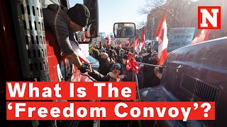 What Is The ‘Freedom Convoy’ And Why Are Truckers Boycotting In Canada?