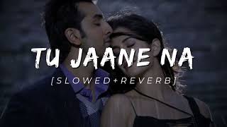 Ajab Prem ki Ghazab kahani - Tu Jaane Na Lofi [Slowed and Reverb] Chill Lofi | Atif Aslam | 2024