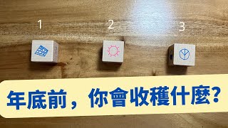 塔羅🦋看看👀年底前，你會收穫什麼？/ timeless