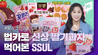 봄이 와서 신제품 딸기 맛 과자 싹~~ 다 먹어봄 (feat. 법카 찬스) / 14F